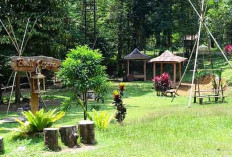 Bukit Cogong Musi Rawas Tawarkan Pesona Alam dan Camping Ground di Musim Liburan
