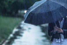 Prakiraan Cuaca Sumsel di Hari Kemerdekaan RI 17 Agustus 2025, 12 Daerah Hujan Ringan