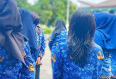 Kepala OPD di Lubuk Linggau Tutup Celah Pengangkatan Pegawai Non ASN