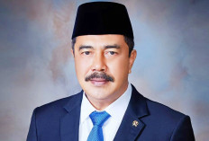 Amnesti, Overcrowding Lapas dan Overkriminalisasi 