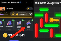 Update Terbaru Kunci Mini Game Hamster Kombat Hari Ini 25 Agustus 2024, Ikuti Polanya Dalam Waktu 30 Detik