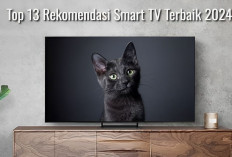 Top 13 Rekomendasi Smart TV Terbaik 2024, Meningkatkan Pengalaman Menonton yang Mendalam