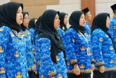 CPNS 2025 Tetap Jadi Prioritas Sektor ini, Wajib Pahami Selain Formasi Pendidkan dan Kesehatan 