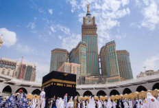 Profil Jemaah Haji 2026 : Mayoritas Alumni SD dan Didominasi Kelompok Usia 41–64 Tahun