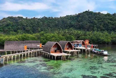 Pulau Pahawang, Wisata Tersembunyi di Lampung yang Diminati Wisatawan
