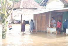 17 Rumah di Marga Bakti Lubuk Linggau Terdampak Banjir 