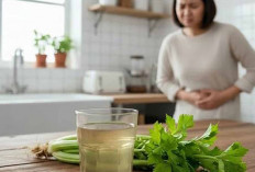 Suka Minum Rebusan Daun Seledri, Jangan Berlebihan Ya ini Efek Sampingnya
