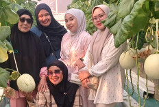 Wisata Edukasi Petik Buah Melon Musi Rawas, Mulai Digemari Masyarakat 