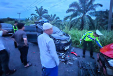 Korwil MBG Kemudikan Daihatsu Sigra Lakalantas, Begini Kondisi 7 Penumpang