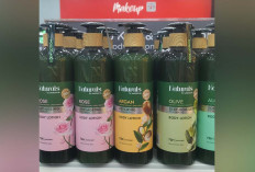 Rambut Lebih Segar Tanpa Mahal: Naturals by Watsons 490ml Hadir dengan Promo Menggiurkan 