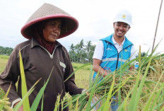 PLN UID S2JB Raih Platinum Nusantara CSR Awards 2026, Electrifying Agriculture Dorong Ketahanan Pangan