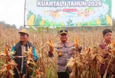 Polres Muratara Dukung Peningkatan Kesejahteraan Petani Jagung 