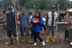 PPL Desa Tri Anggun Jaya Ajak Petani Lestarikan Tanaman Padi Gogo