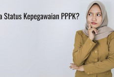 Pendaftaran seleksi PPPK 2024 Segera di Buka, Yuk Ketahui Apa Status Kepegawaian PPPK?