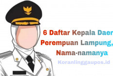 6 Daftar Kepala Daerah Perempuan Terpilih di Lampung Beserta Harta Kekayaan, Ini Nama-namanya