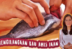 10 Cara Membersihkan Ikan agar Tidak Amis Tanpa Menggunakan Lemon