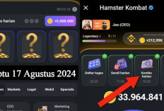 Sudah Keluar Combo Harian Hamster Kombat Hari Ini 17 Agustus 2024, Garap Hingga 5 Juta Koin Gratis