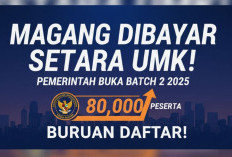 Magang Dibayar Setara UMK! Pemerintah Buka Batch 2 2025, Kuota 80.000 Peserta, Buruan Daftar