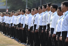 22 Sekolah Kedinasan di Kemenhub Masuknya Tidak Perlu Nilai UTBK SNBT, Ini Daftarnya