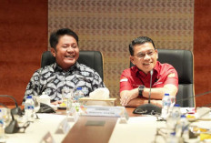 Silaturahmi dengan Gubernur Herman Deru, ini yang Disampaikan Ketua DPD PDIP Sumsel Devi Suhartoni