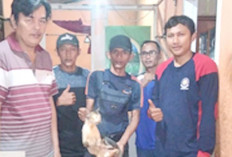 Januari-Maret 2025, Ada 6 Kebakaran dan 25 Evakuasi Satwa di Lubuk Linggau