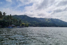 Danau Singkarak, Keindahan Alam Sumatera Barat yang Memukau