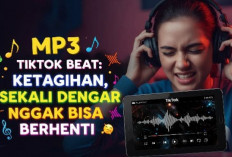 MP3 TikTok Beat Ketagihan, Sekali Dengar Nggak Bisa Berhenti