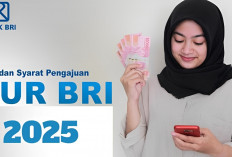 KUR BRI 2025 Siap dengan Pinjaman 1-50 Juta, Berikut Cara Mengajukan dan Tabel Angsurannya