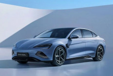 BYD Seal 6 DM Muncul di Indonesia, Sinyal Kuat Sedan Hybrid Canggih Segera Meluncur
