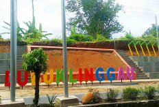 Taman Komunitas RCA, Ruang Publik yang Perkuat Identitas Citra Kota Lubuk Linggau