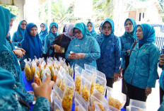 Begini Cara Hj Patimah Toha Optimalkan Program Kerja PKK