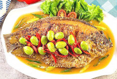 Selain Lezat, Ini 8 Manfaat Ikan Gurame Untuk Kesehatan