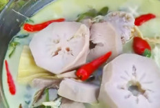 Sajian Lemak Nyaman, Gangan Karuh Kuliner Berkuah Khas Banjar Menggugah Selera