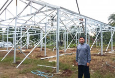 10 Jenis Tanaman Anggur Akan Dibudidaya di Green House Desa Wonokerto Musi Rawas