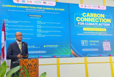 PLN Gandeng Mitra Norwegia dan Jepang untuk Dorong Pasar Karbon Lintas Negara yang Berintegritas Tinggi di COP