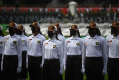 Apa Sih Perbedaan Paskibra dan Paskibraka? Padahal Sama-sama Jadi Pengibar Bendera, Ini Penjelasanya