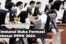 Pendaftaran PPPK 2024 Dibuka di 10 Instansi, Rekrutmen Terbanyak Berikut Daftarnya