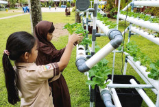 SDN 58 Lubuk Linggau Wujudkan Sekolah Ramah Lingkungan dengan Hidroponik