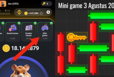 Update Terbaru Kunci Mini Game Hamster Kombat Hari Ini 3 Agustus 2024, Ikuti Polanya Dalam Waktu 30 Detik