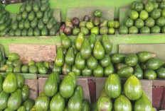 Cobain Enaknya Alpukat Madu Oleh-oleh Khas Lubuk Linggau yang Enak Banget