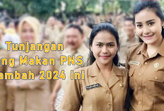 Tunjangan PNS 2024 Naik Lagi dari Sebelumnya, Berikut Besaran Tambahan Tiap Provinsi