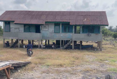 Tim 1 Patriot UNDIP Cek Kondisi Pustu UPT 2 Trans Air Balui Muba, Nakes Ungkap 2 Tantangan Berat