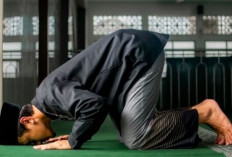 Cerminan Hati: Membentuk Akhlak Sebagai Kualitas Seorang Muslim