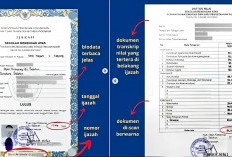 Gebrakan Baru Dunia Pendidikan! Kemendikdasmen Luncurkan Ijazah Digital 2025, Ini Keunggulannya