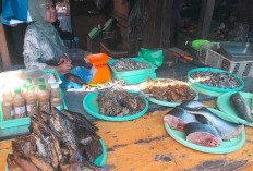 Berbagai Jenis Ikan Segar hingga Ikan Salai Laris di Pasar Moneng Sepati, Bisa Beli Mulai Rp 20.000