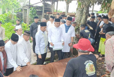 Wabup Musi Rawas Serahkan Sapi Kurban Presiden Prabowo kepada Pengurus Masjid Al Muslim
