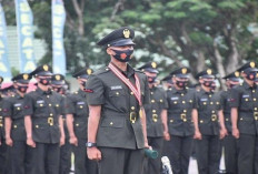 Daftar Gaji TNI Terbaru April 2025, Mulai dari Tamtama hingga Perwira Tinggi