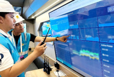 Wujud Kontribusi ke Negara, PLN Setor Rp65,59 Triliun Lewat Dividen, Pajak, dan PNBP