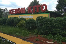 Agrowisata Kebon Kito Lubuk Linggau, Berwisata sambil Edukasi