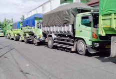 LAKI P45 Desak Pemkot Lubuk Linggau Tegas soal Angkutan Batu Bara 